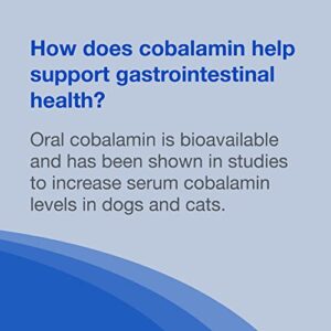 Nutramax Cobalequin B12 Supplement for Cats and Small Dogs, 45 Chewable Tablets