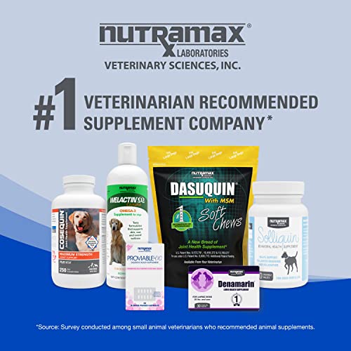 Nutramax Cobalequin B12 Supplement for Cats and Small Dogs, 45 Chewable Tablets