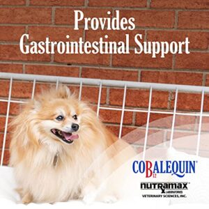 Nutramax Cobalequin B12 Supplement for Cats and Small Dogs, 45 Chewable Tablets