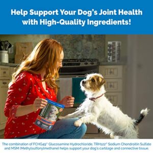 Nutramax Cosequin Joint Health Supplement for Dogs - With Glucosamine, Chondroitin, MSM, and Omega-3's, 60 Soft Chews