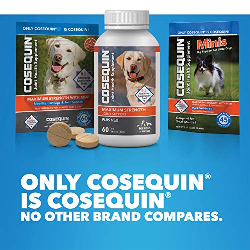 Nutramax Cosequin Joint Health Supplement for Dogs - With Glucosamine, Chondroitin, MSM, and Omega-3's, 60 Soft Chews