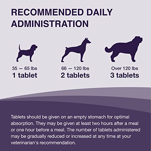 Nutramax Denamarin Liver Health Supplement for Large Dogs - With S-Adenosylmethionine (SAMe) and Silybin, 30 Tablets