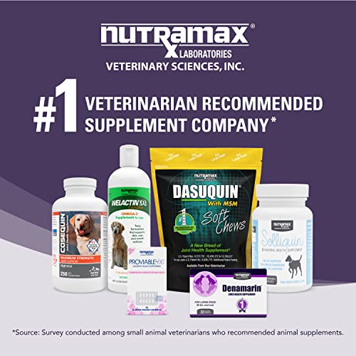 Nutramax Denamarin Liver Health Supplement for Large Dogs - With S-Adenosylmethionine (SAMe) and Silybin, 30 Tablets