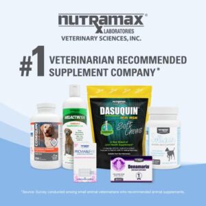 Nutramax Solliquin Calming Behavioral Health Supplement for All Dogs Over 8lbs - With L-Theanine, Magnolia / Phellodendron, and Whey Protein Concentrate, 60 Chewable Tablets