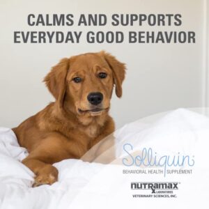 Nutramax Solliquin Calming Behavioral Health Supplement for All Dogs Over 8lbs - With L-Theanine, Magnolia / Phellodendron, and Whey Protein Concentrate, 60 Chewable Tablets