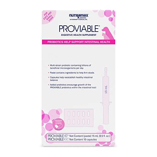 Nutramax Proviable Digestive Health Supplement Kit with Multi-Strain Probiotics and Prebiotics for Cats and Small Dogs, With 7-Strains of Bacteria, 15 mL Paste and 10 Capsules