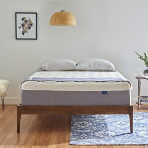 Serenia Sleep 14 Inch Quilted Sculpted Plush Gel Memory Foam Mattress -Queen