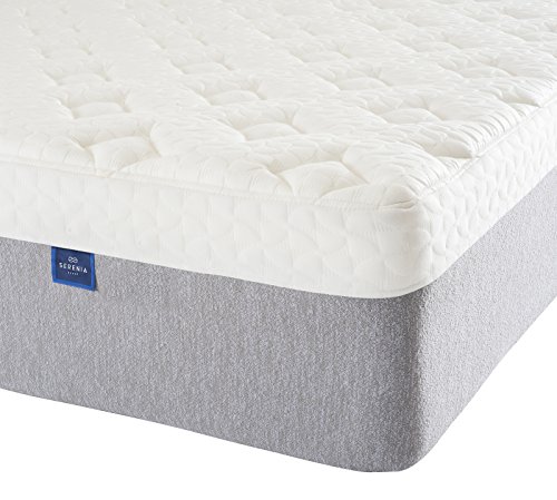 Serenia Sleep 14 Inch Quilted Sculpted Plush Gel Memory Foam Mattress -Queen