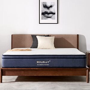 molblly queen mattress, 10 inch hybrid mattress in a box, gel memory foam mattress,individually wrapped pocket coils innerspring mattress, non-fiberglass,queen size mattress, 60x80x10 inch,