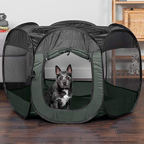 Furhaven Pop Up Playpen Pet Tent Playground - Hunter Green, Small