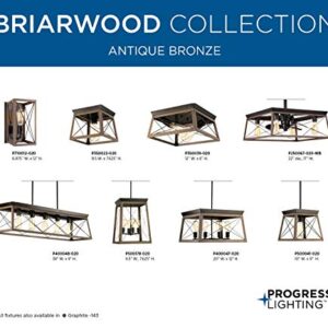 Briarwood Collection 5-Light Coastal Chandelier Light Antique Bronze