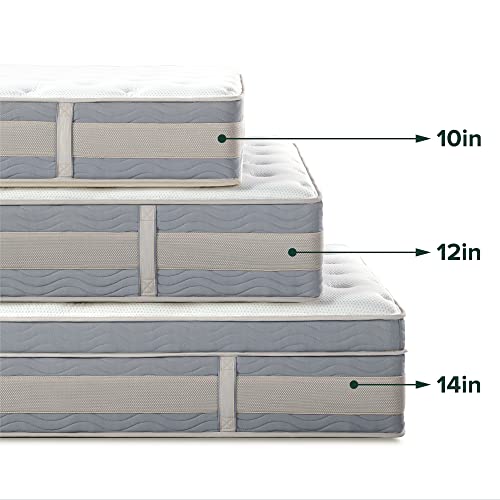 ZINUS 12 Inch Green Tea Cooling Gel Memory Foam Hybrid Mattress / Pocket Innersprings for Motion Isolation / Edge Support, Full White