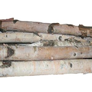 Wilson 17-18" Decorative White Birch Logs, Natural Bark Wood Home Décor - 1.5"-3" Dia. (Set of 8)