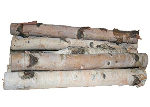 Wilson 17-18" Decorative White Birch Logs, Natural Bark Wood Home Décor - 1.5"-3" Dia. (Set of 8)