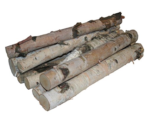 Wilson 17-18" Decorative White Birch Logs, Natural Bark Wood Home Décor - 1.5"-3" Dia. (Set of 8)