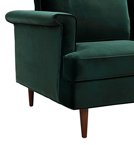 TOV Furniture The Porter Collection Contemporary Style Velvet Upholstered Living Room Sofa with Beech Wood Legs, Forest Green