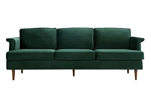 TOV Furniture The Porter Collection Contemporary Style Velvet Upholstered Living Room Sofa with Beech Wood Legs, Forest Green