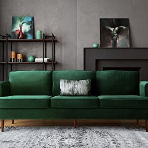 TOV Furniture The Porter Collection Contemporary Style Velvet Upholstered Living Room Sofa with Beech Wood Legs, Forest Green