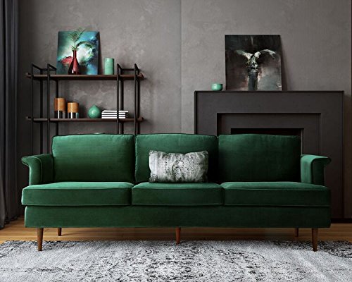 TOV Furniture The Porter Collection Contemporary Style Velvet Upholstered Living Room Sofa with Beech Wood Legs, Forest Green