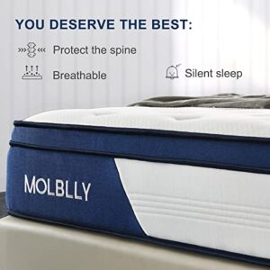 Molblly Queen Mattress, 12 Inch Innerspring Mattress in a Box,Ultimate Motion Isolation Individually Wrapped Pocket Coils Mattress,Pressure Relief,Back Pain Relief& Cool Queen Bed, 10 Years Support