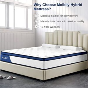 Molblly Queen Mattress, 12 Inch Innerspring Mattress in a Box,Ultimate Motion Isolation Individually Wrapped Pocket Coils Mattress,Pressure Relief,Back Pain Relief& Cool Queen Bed, 10 Years Support