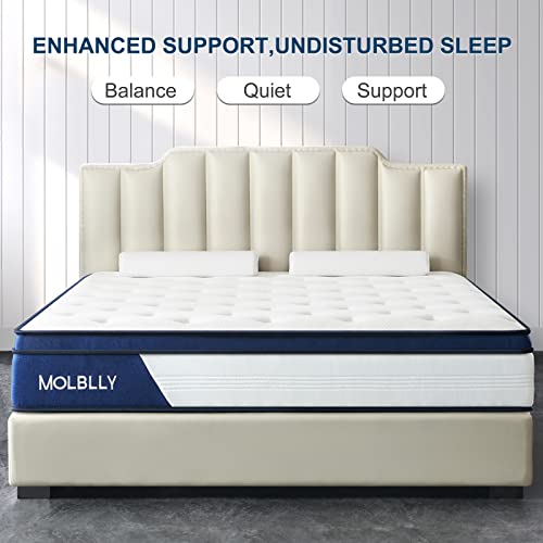 Molblly Queen Mattress, 12 Inch Innerspring Mattress in a Box,Ultimate Motion Isolation Individually Wrapped Pocket Coils Mattress,Pressure Relief,Back Pain Relief& Cool Queen Bed, 10 Years Support