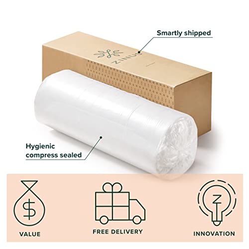 ZINUS 12 Inch Cloud Memory Foam Mattress / Pressure Relieving / Bed-in-a-Box / CertiPUR-US Certified, Twin