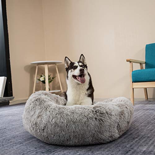 Coohom Oval Calming Donut Cuddler Dog Bed,Shag Faux Fur Cat Bed Washable Round Pillow Pet Bed(30"/36"/43") for Small Medium Dogs (XL(36"x27"x7"),Light Brown)