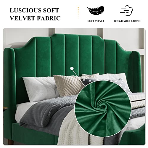 SHA CERLIN Wood Queen Size Bed Frame with Modern Curved Upholstered Wingback Headboard / Heavy Duty Platform Bed with Strong Wood Slat Support / Green