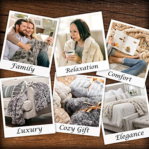 Chanasya Ruched Luxurious Soft Faux Fur Throw Blanket - Fuzzy Plush and Elegant with Reversible Mink Blanket for Sofa Chair Couch Living Room Birthday Gift and Home Decor (50x65 Inches) Beige