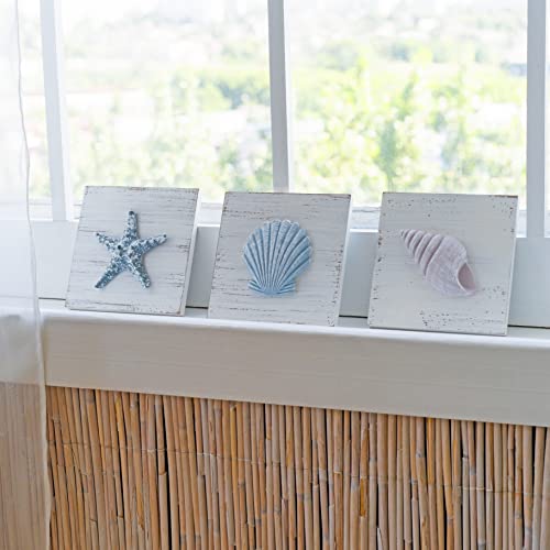 TideAndTales 3D Seashell Art - Set of 3, 6”x6” Beach Wall Decor for Bathroom, Hand-Painted Rustic Shells and Starfish, Ocean Theme Coastal Decorations for Home or Beach House