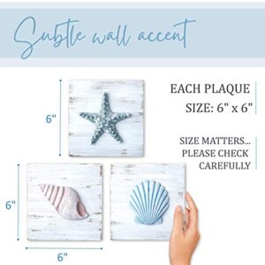 TideAndTales 3D Seashell Art - Set of 3, 6”x6” Beach Wall Decor for Bathroom, Hand-Painted Rustic Shells and Starfish, Ocean Theme Coastal Decorations for Home or Beach House