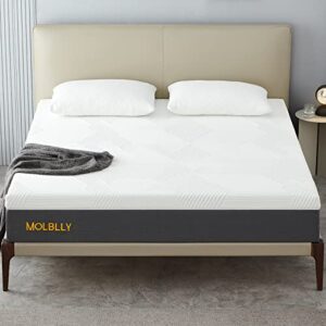 Molblly 12 Inches King Size Mattress for Back Pain Relief, Gel Memory Foam Mattress in a Box, Fiberglass Free, Medium Firm, 10-Year Support, Premium King Bed