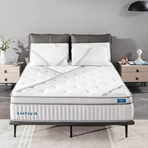 queen mattress,lechepus 14 inch hybrid memory foam mattresses with individual pocket springs,mattress in box,plush comfortable mattress for cool sleep & back pain relief,certipur-us certified