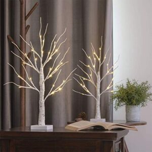 EAMBRITE Lighted Birch Tree for Easter Day Decor, Set of 2 Easter Tree Indoor, Battery Operated Artificial Tree with Lights, Christmas Easter Tree Decorations for Home (2FT / Warm White)