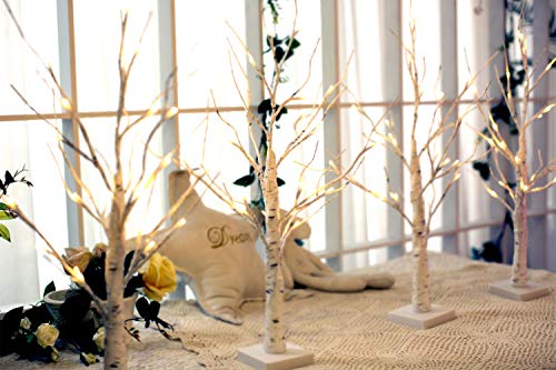 EAMBRITE Lighted Birch Tree for Easter Day Decor, Set of 2 Easter Tree Indoor, Battery Operated Artificial Tree with Lights, Christmas Easter Tree Decorations for Home (2FT / Warm White)