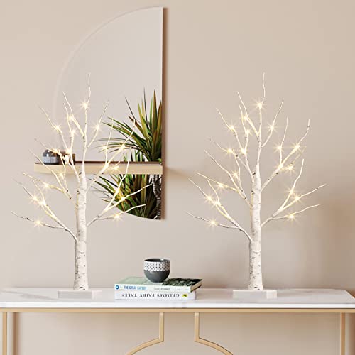 EAMBRITE Lighted Birch Tree for Easter Day Decor, Set of 2 Easter Tree Indoor, Battery Operated Artificial Tree with Lights, Christmas Easter Tree Decorations for Home (2FT / Warm White)