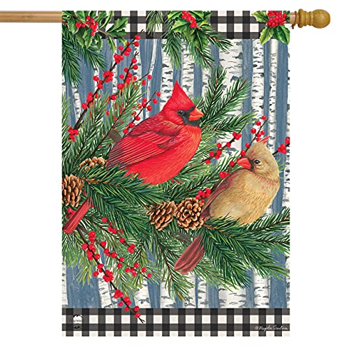 Winter Birch Tree Cardinals House Flag 28" x 40" Briarwood Lane