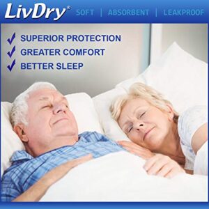 LivDry Overnight Protective Underwear Large size Count: 64