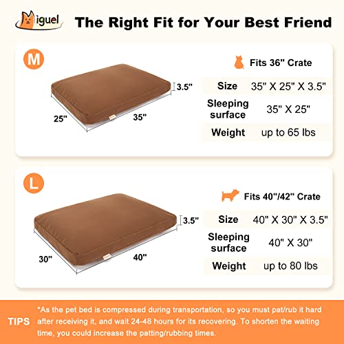 Miguel Canvas Dog Bed Medium Waterproof 12 Ounce Cotton Durable Dog Pillow with Removable Cover Dog Crate Mat for Medium Pets Indoor Outdoor Use for All Weather Water-Resistant Scratch Resistant