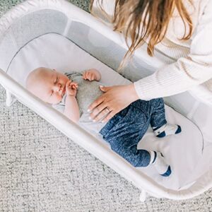 Baby Delight Snuggle Nest Bassinet | Portable Baby Bed | for Infants 0 – 5 Months | Driftwood Grey