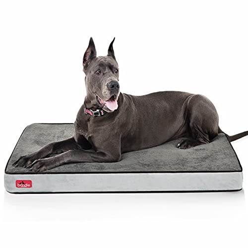 Brindle Waterproof Designer Memory Foam Pet Bed-Removable Machine Washable Cover-4 Inch Orthopedic Pet Bed-Joint Relief