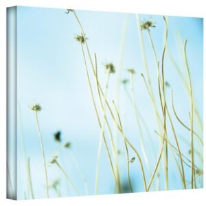artwall 30 second daydream wrapped canvas art by mark ross, 24 by 32-inch