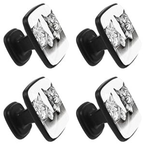 4 Pieces Kitchen Cabinet Knobs, Grey Sleepy Cats Glass Crystal Knobs for Dresser Drawers Cupboard Furniture Pulls Hardware Square Knobs