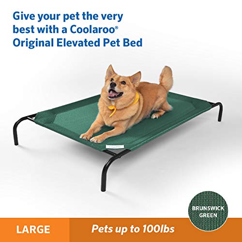 Coolaroo The Original Cooling Elevated Pet Bed, Brunswick Green