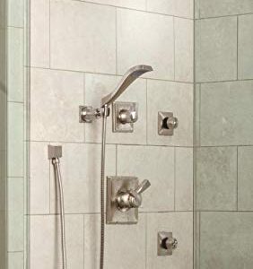 Delta Faucet Dryden 17 Series Dual-Function Shower Trim Kit with Single-Spray Touch-Clean Shower Head, Stainless, 2.0 GPM Water Flow, T17251-SS-WE (Valve Not Included)