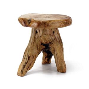 welland tree stump stool live edge, natural edge side table, plant stand, nightstand, mushroom stool 14″ tall