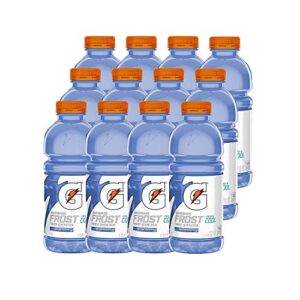 gatorade frost, riptide rush, 20 ounce bottles (pack of 12)
