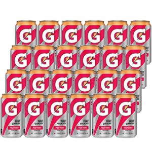 Gatorade Thirst Quencher, Fruit Punch, 11.6 Fl Oz (Pack of 24)