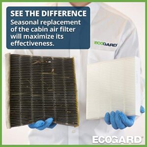 ECOGARD XC36080 Premium Cabin Air Filter Fits Acura RDX 2019-2020, Honda Civic 2016-2019, CR-V 2017-2019, Fit 2009-2019, HR-V 2016-2019, Odyssey 2018-2020, Insight 2010-2019, Clarity 2017-2019